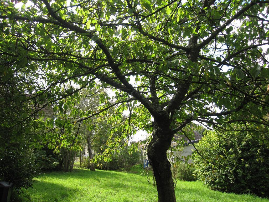 Maison Avec Grand Jardin Pour 15 Couchages En Normandie Cairon Szoba fotó